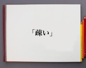 「疎い」とは?意味や使い方を解説 | 意味解説辞典