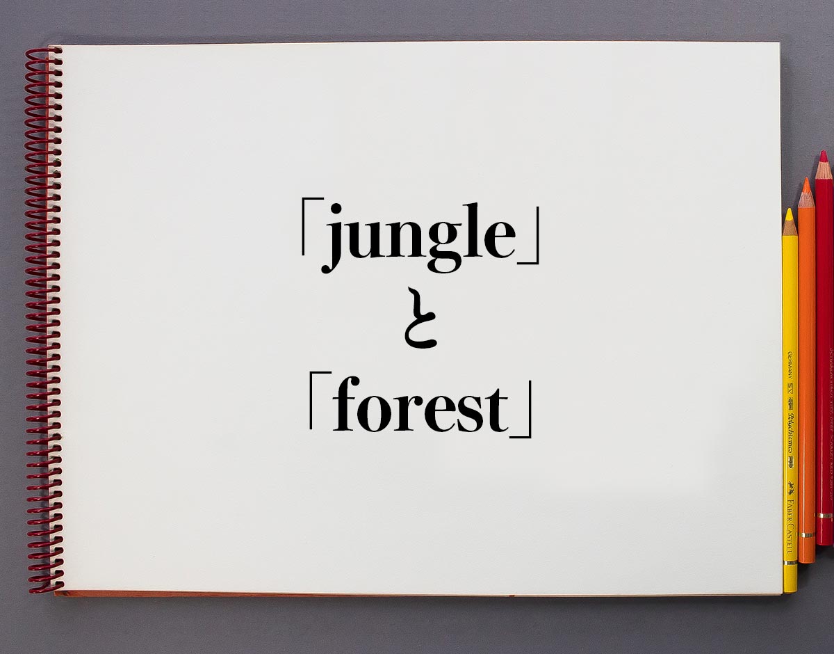 「jungle」と「forest」の違い