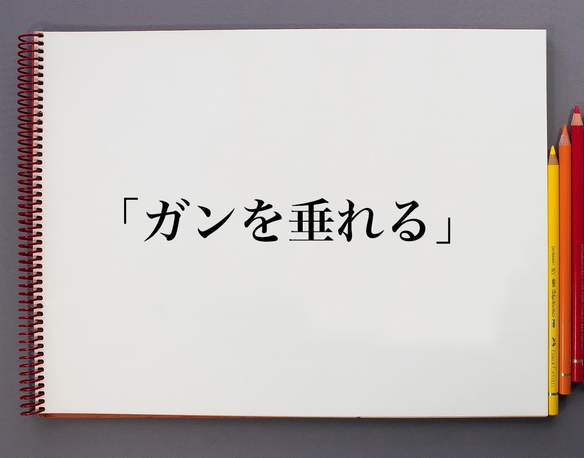 「ガンを垂れる」とは