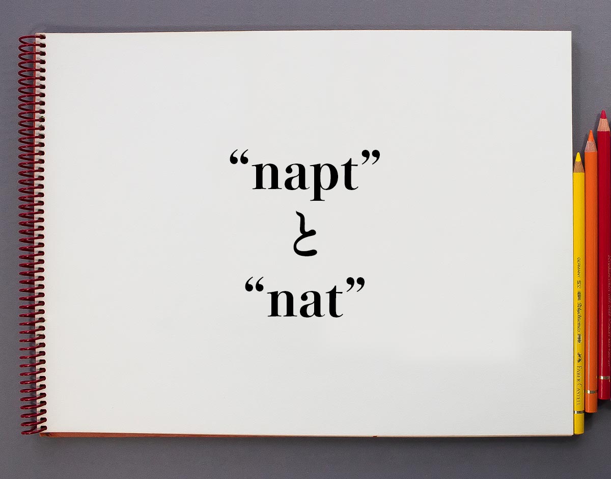 「napt」と「nat」の違いとは？