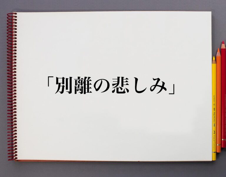 「別離の悲しみ」とは?意味や使い方、例文や意味を解釈 | 意味解説辞典
