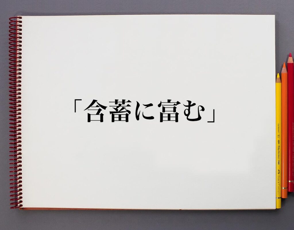 「含蓄に富む」とは？意味や使い方、例文など分かりやすく解釈 | 意味解説辞典