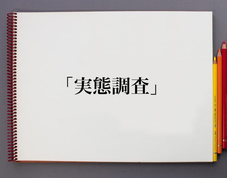 「実態調査」とは？意味や使い方、例文など分かりやすく解釈 意味解説辞典